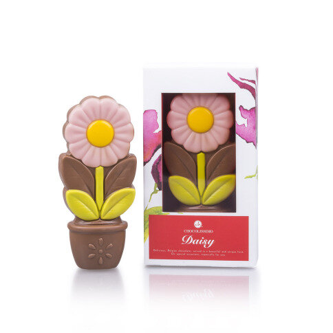 Daisy pink - czekoladowy kwiatek, prezent dla niej, prezent dla dziecka, prezent dla kobiety